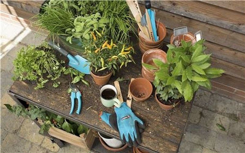 Kit Iniciación jardinería 4 en 1 Gardena