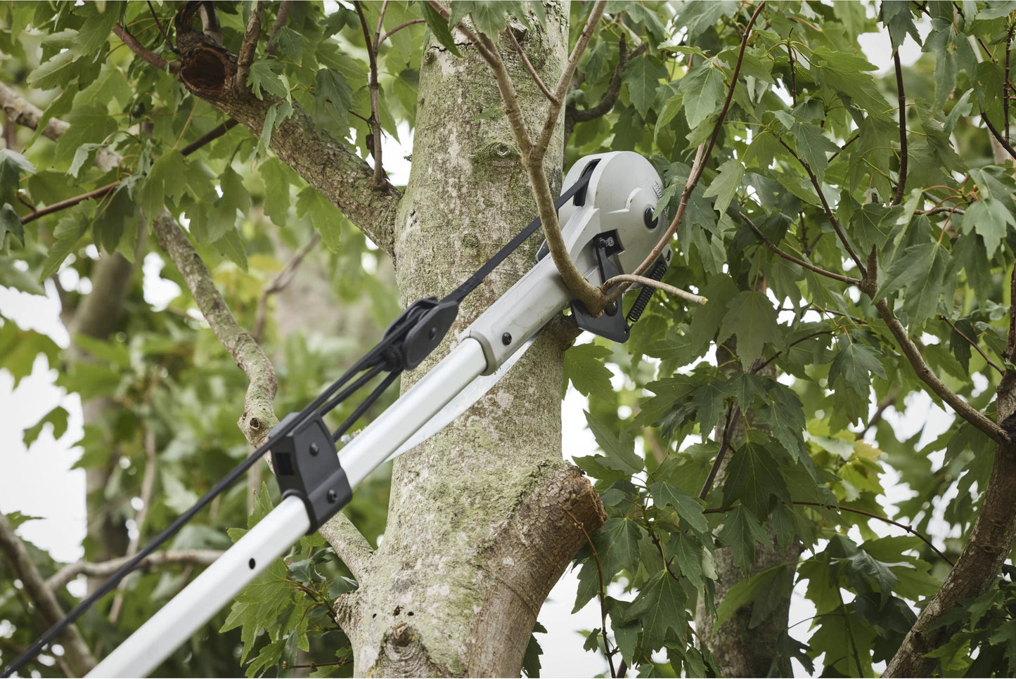 Tijera de pértiga con serrucho Milwaukee